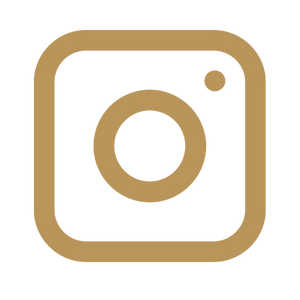 instagram da silva neves advocacia